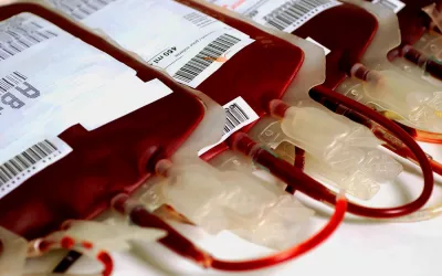 Sangre artificial, así es la alternativa a la sangre humana Sangre almacenada
