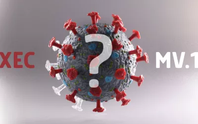 Nuevas variantes XEC y MV.1 del coronavirus: qué debes saber Ilustración del coronavirus