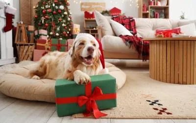 Perro tumbado junto al árbol de navidad y los regalos