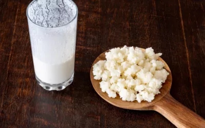 Granos de kéfir y vaso con leche fermentada Vaso de leche fermentada junto a un cucharón con granos de kéfir