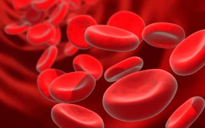 Anemia o disminución de la concentración de hemoglobina en la sangre