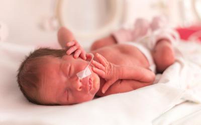 Bebé prematuro en la incubadora