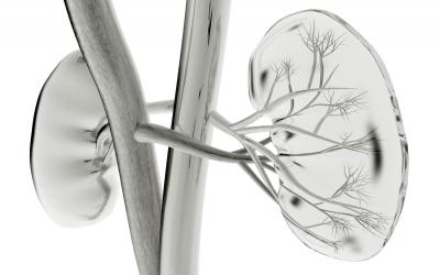 Qué es la insuficiencia renal crónica