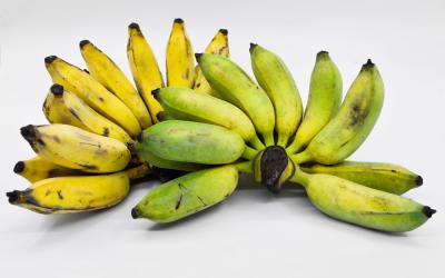 Plátano, nutritivo y muy saludable