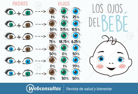 ¿De qué color tendrá los ojos mi bebé? - Bebés y niños