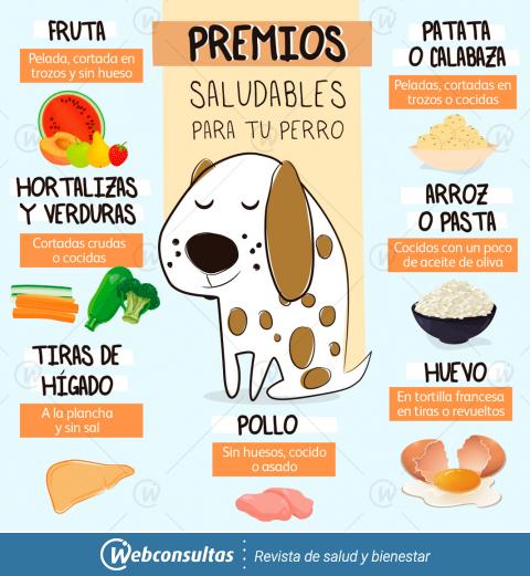 Premios saludables para tu perro