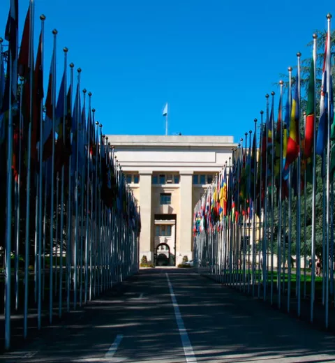 Palacio de las Naciones Unidas en Ginebra Palacio de las Naciones Unidas en Ginebra
