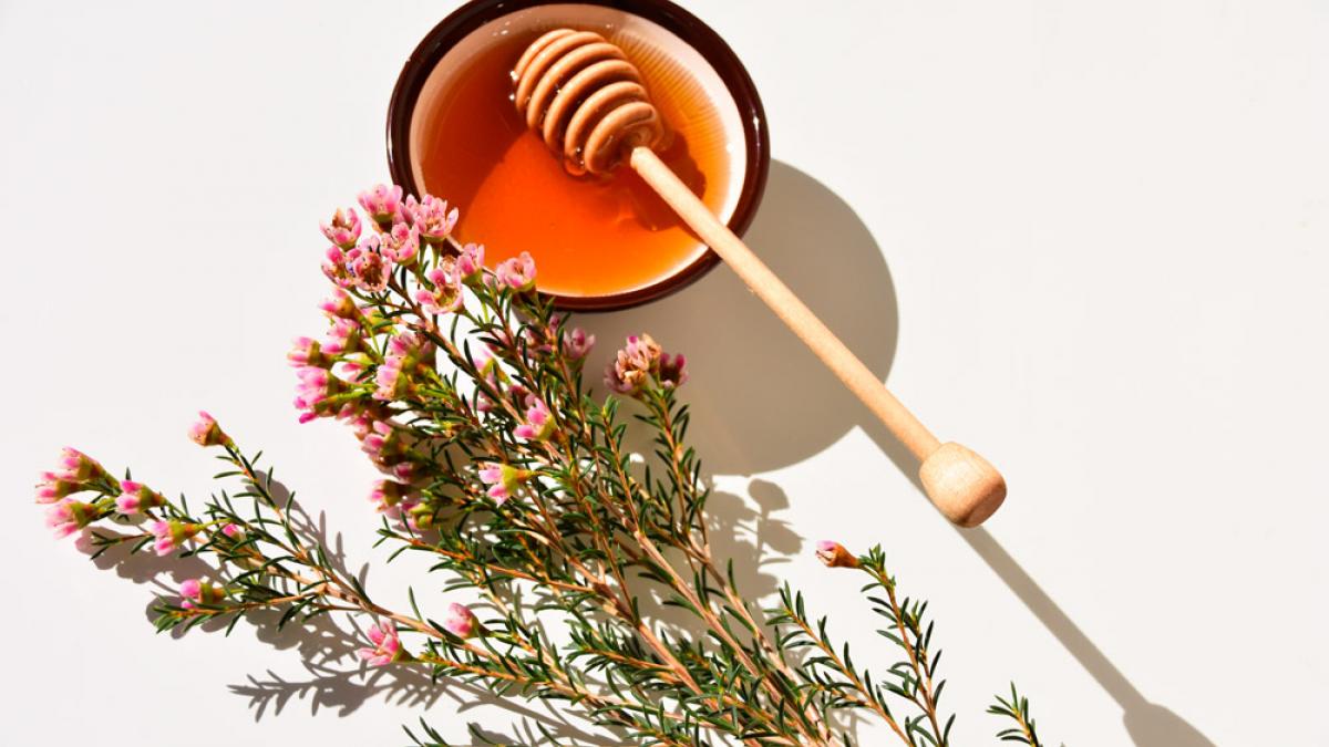 Beneficios en la piel de la miel de manuka