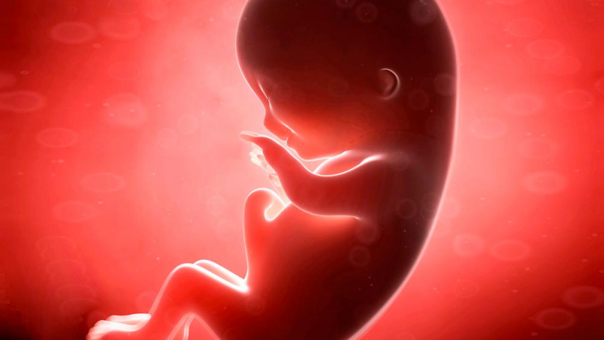 3 meses de embarazo: síntomas y desarrollo del feto