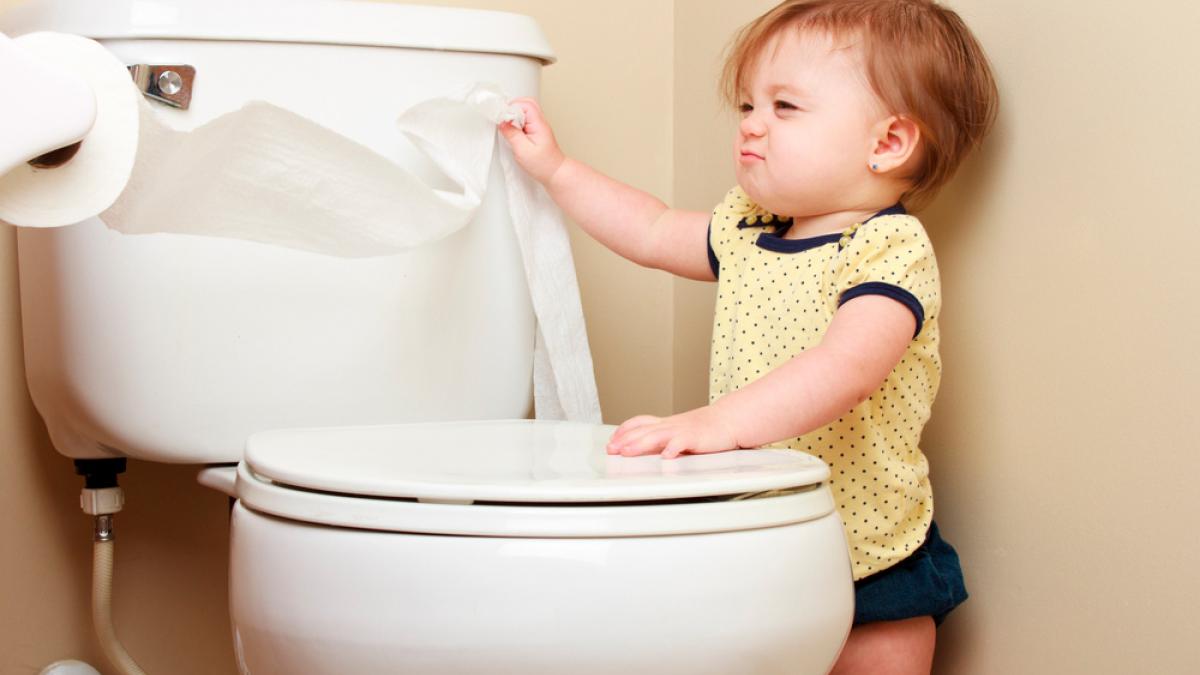 acoplador genio excursionismo 9 Trucos para que tu hijo empiece a usar el baño solito