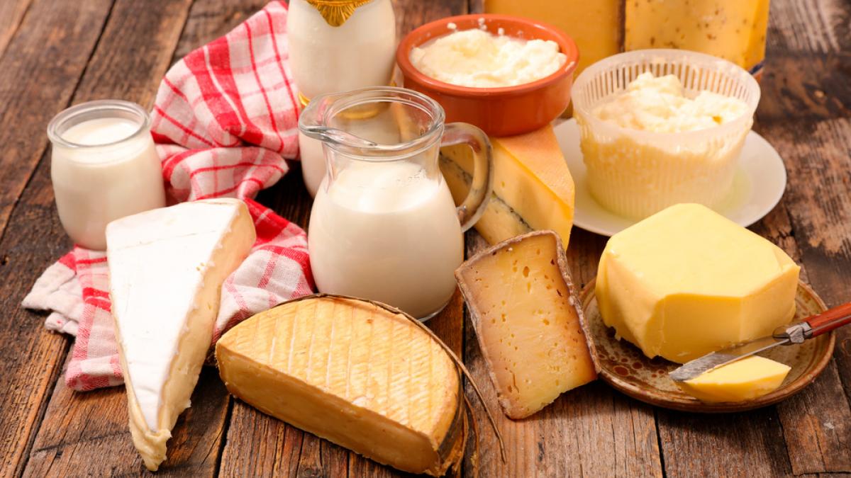 Productos lácteos: cuáles son y características