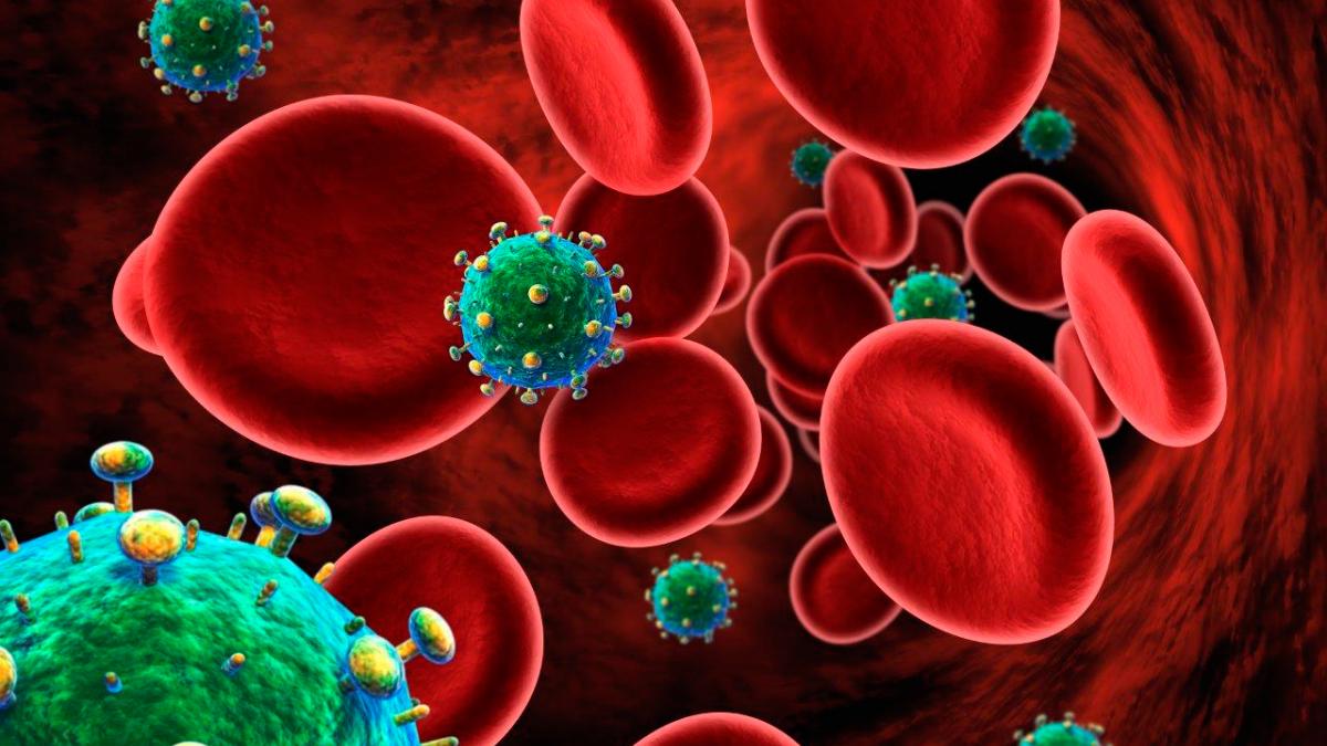 Virus Inmunodeficiencia Humana (VIH), qué es - Salud al día