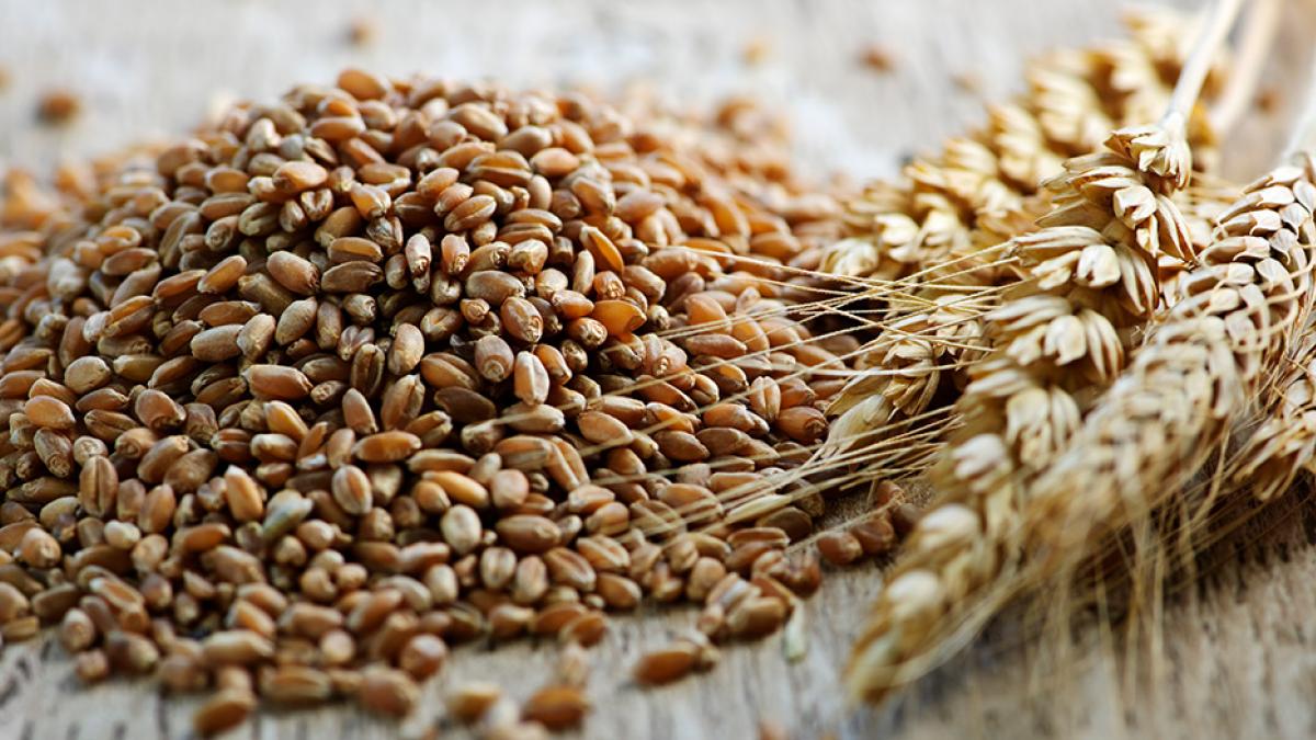 Los cereales integrales reducen los factores de riesgo de cardiopatías
