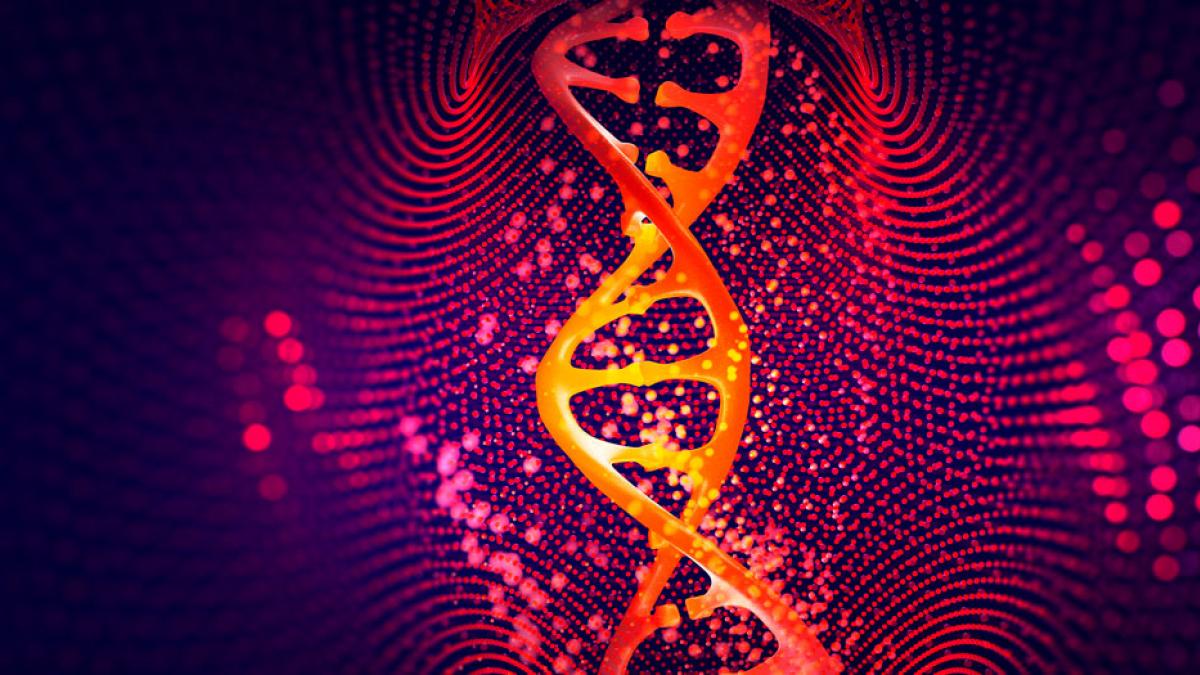 Descifran los secretos del genoma humano y completan su secuenciación