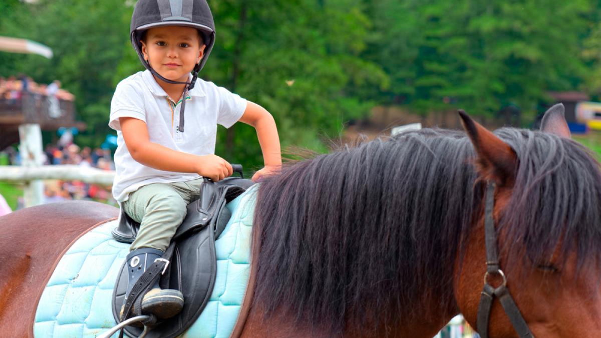 ¿Qué edad es buena para montar a caballo