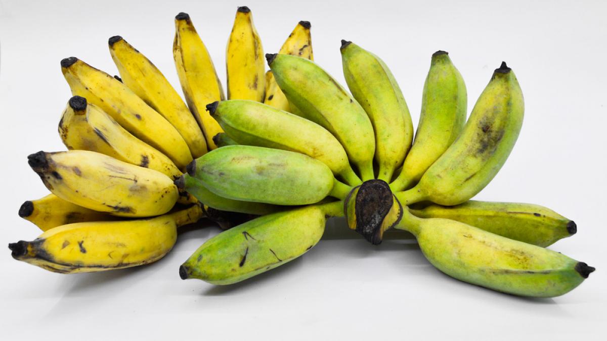 Plátano, propiedades nutricionales y beneficios salud